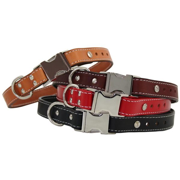 Seneca Adjustable Dog Collar Supply