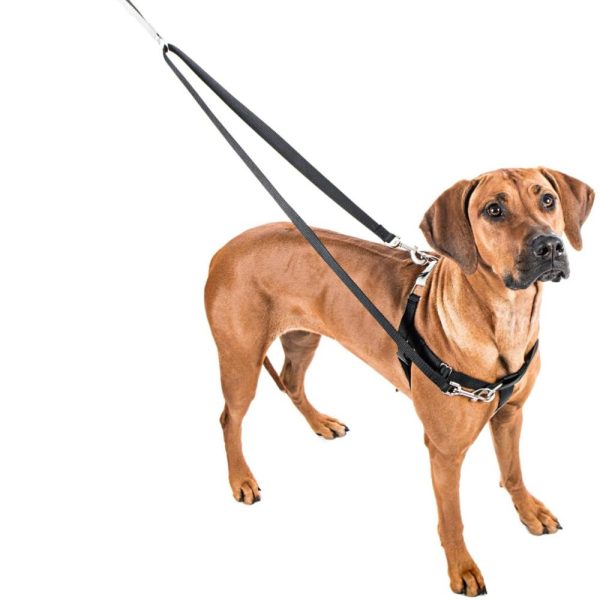 Hot Pink Freedom No-Pull Dog Harness Online Sale - Image 3
