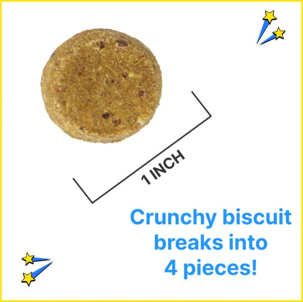 Chippin - Antioxidant (Banana-Cricket-Blueberry) Dog Treat Supply - Image 2